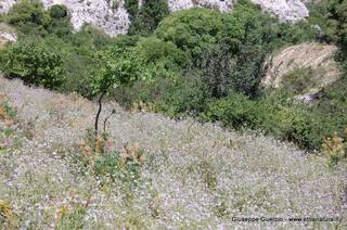 ntana Paradiso-15-05-2014 17-42-41